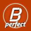 Blog Perfect Manager ( Panel ) APK