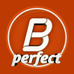 Blog Perfect Manager ( Panel ) icon