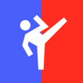 Kumite Score