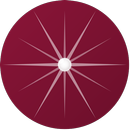 NAVIS APK
