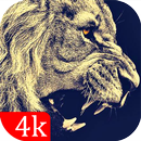 Lion Wallpapers APK