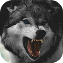 Wolf Wallpaper APK