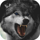 Wolf Wallpaper icon