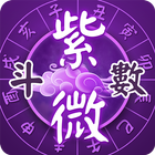紫微斗數 icon