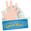 E-SAFETY icon
