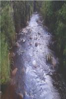 Ondas del río Guarapas 截圖 1