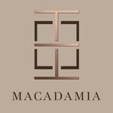 Macadamia ícone