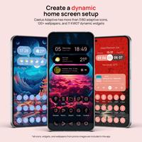 Caelus Adaptive Material Icons poster