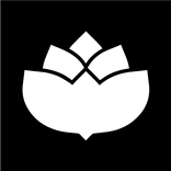 Lena White: Glyph Icon Pack