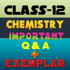 Class 12 Chemistry exemplar Solutions icône