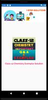 Class 12 Chemistry exemplar Solutions Affiche