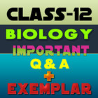 Class 12 Biology Exemplar Solutions ikon