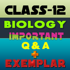 Class 12 Biology Exemplar Solu icon