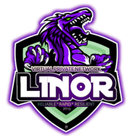 LINOR VPN ไอคอน