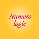 Numérologie et Destinée أيقونة