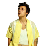 WAStickerApps - Harry Styles S