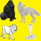 CollectiveNamesOfAnimals-icoon