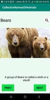 CollectiveNamesOfAnimals screenshot 1