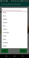 CollectiveNamesOfAnimals screenshot 2
