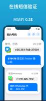 SMS Virtual 海報