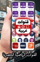 Arabic TV скриншот 1