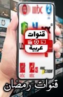 Arabic TV скриншот 2