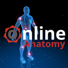 ONLINE Anatomy - Videos, Quizzes and Chats. icône