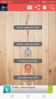 ONLINE Anatomy - Videos, Quizzes and Chats. Affiche