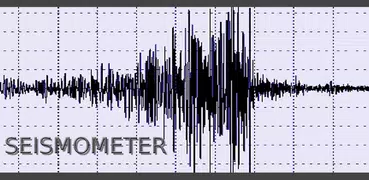 Seismometer - Vibration Meter
