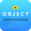 Object Identification - Detect
