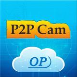 P2PIPCAM icône