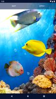 برنامه‌نما Fish Ocean Live Wallpaper عکس از صفحه