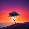 Offline Wallpaper HD APK