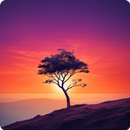 Offline Wallpaper HD APK