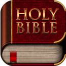 Offline Bible app with audio APK