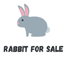 Rabbit For Sale APK