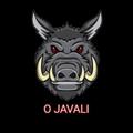 STOJAVALI