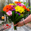 figurinhas  flores E corações APK