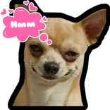 WAStickersApps Animali 2022