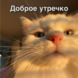 Figurinhas Boa Noite Russo