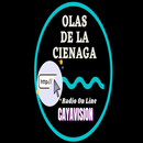 OLAS DE LA CIENAGA RADIO ONLINE APK