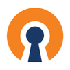 Open VPN APK