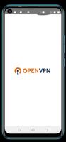 Open VPN Affiche