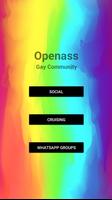 Openass -  Gay Social poster