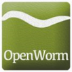 WormWorx++ icon