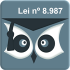 Concessões 2025 - Lei nº 8.987 icon