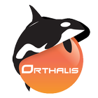 Orthalis planning icon