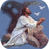 El Poder de la Oración ícone