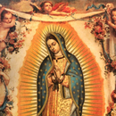 APK Novena Virgen De Guadalupe