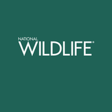 National Wildlife Magazine